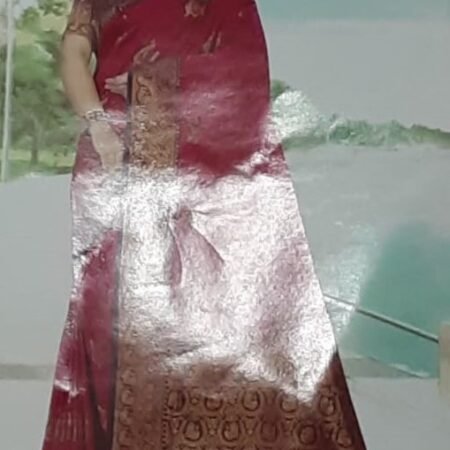 Navdisha Textiles SAREES