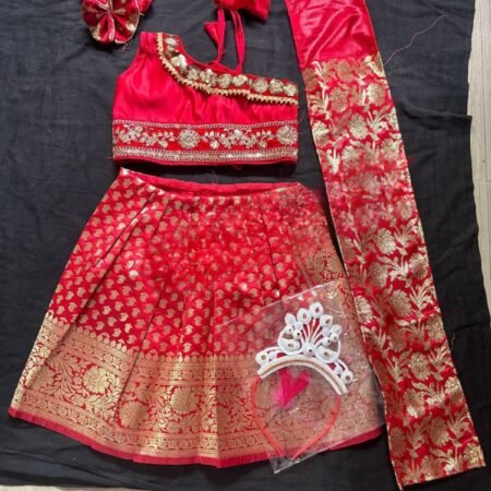 Red Elegant Saree Custom Made
