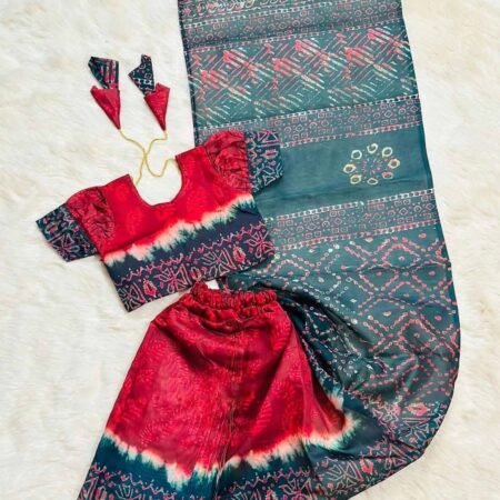 Red And Blue Elegant Premium Saree